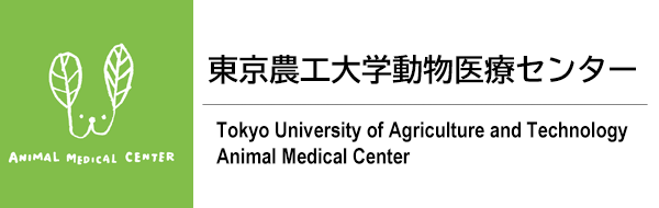 東京農工大学動物医療センター